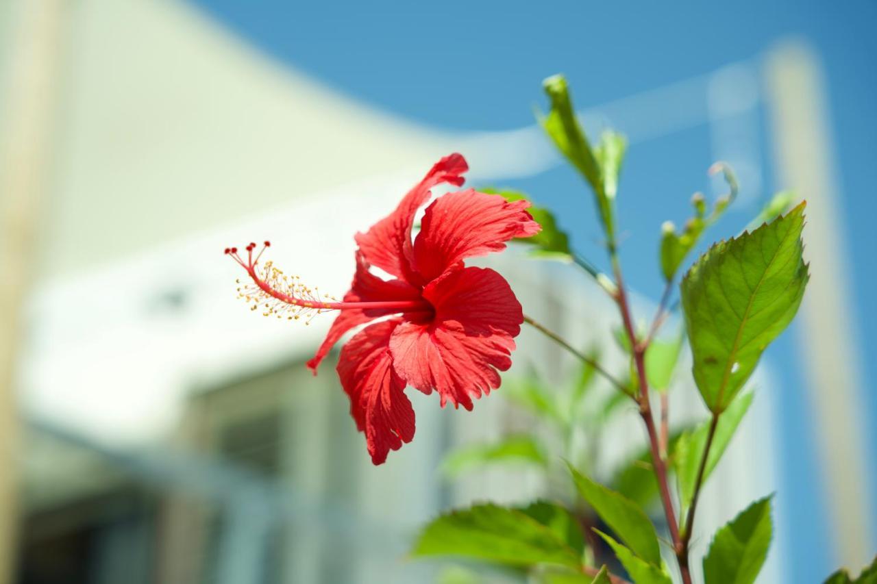 Vacation Village Okinawa - Nakijin South Bldg Ngoại thất bức ảnh